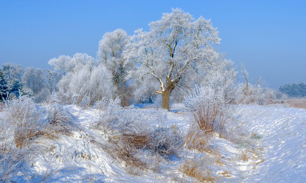 A fairy-tale winter landscape by the Gwda River