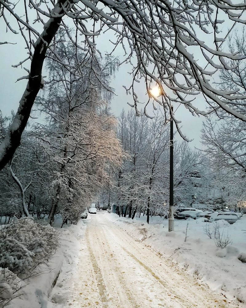 Photograph by Лариса Бурова