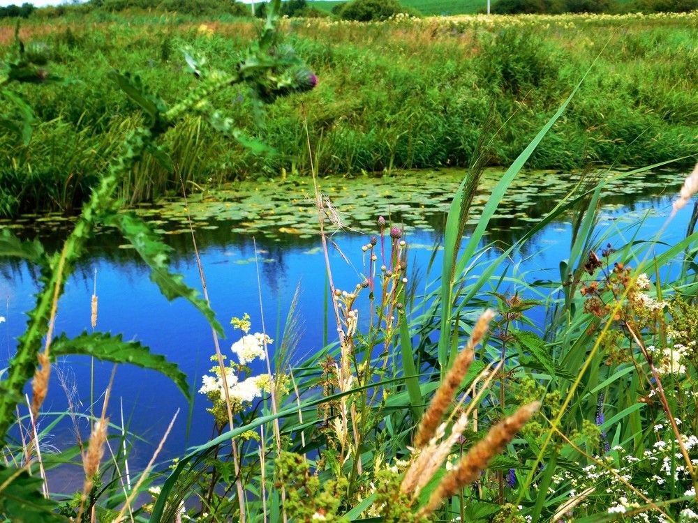 Photograph by Виктория Спицына