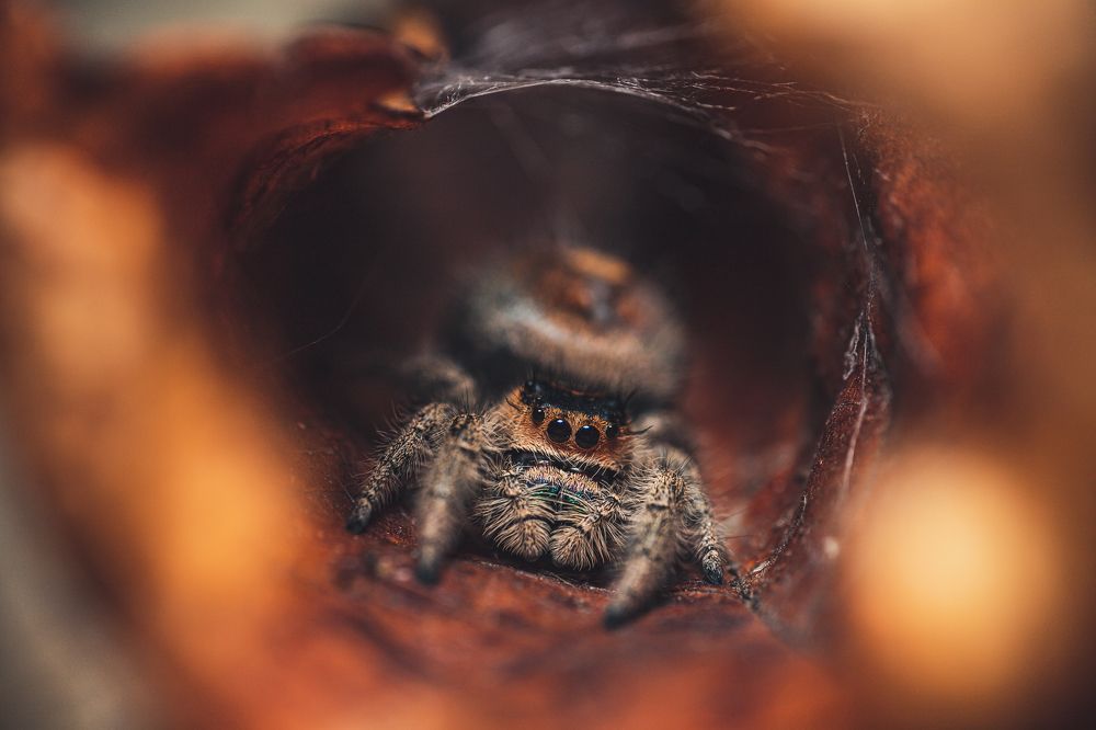 Photograph by Tomas Hora