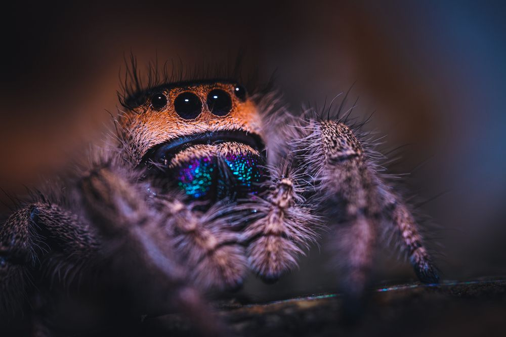 Photograph by Tomas Hora