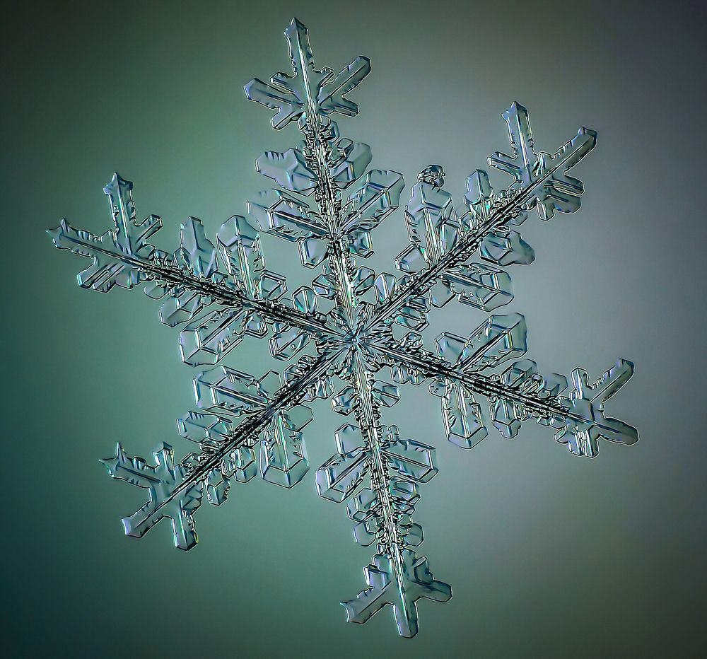 Photograph by андрей захаров