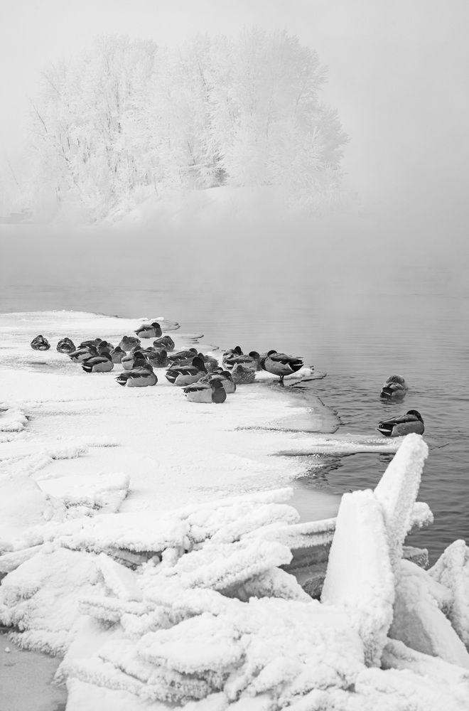 Photograph by Сергей Смелян