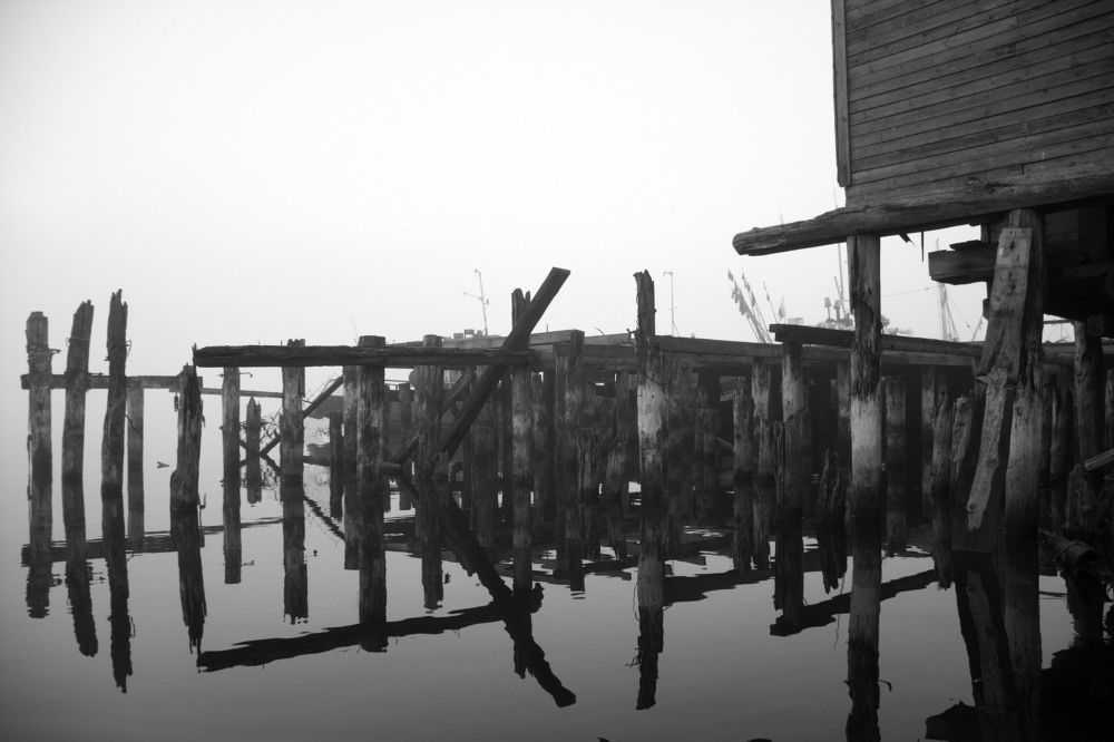 Photograph by Марина Плишкунова