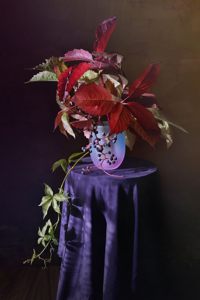 Photograph by Инаида