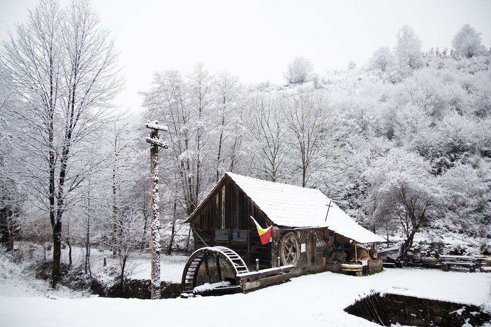 Photograph by Constantin Lazar