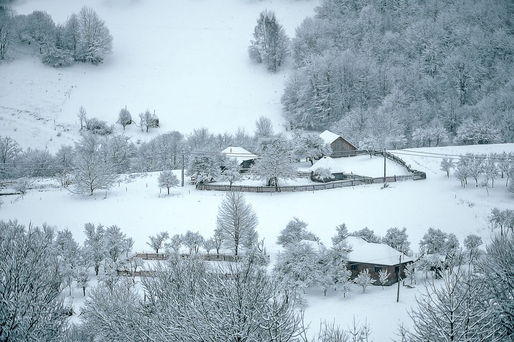 Photograph by Constantin Lazar