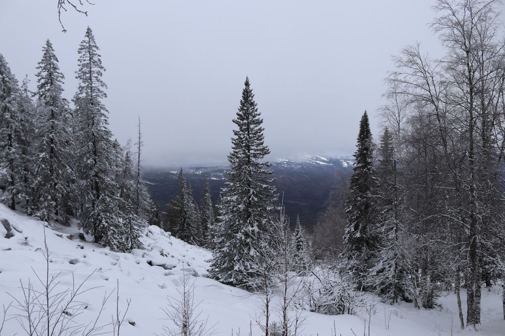 Фотография автора Веста Ягужинская