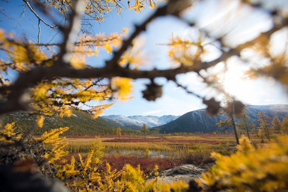Photograph by Владимир Кочкин