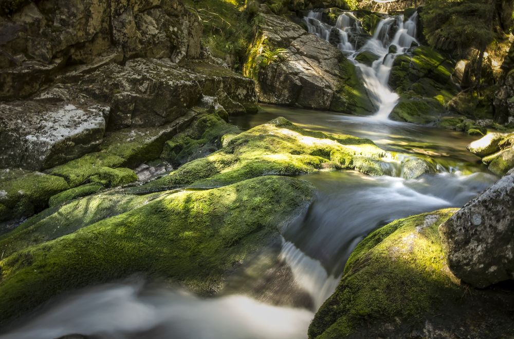 Photograph by Constantin Lazar