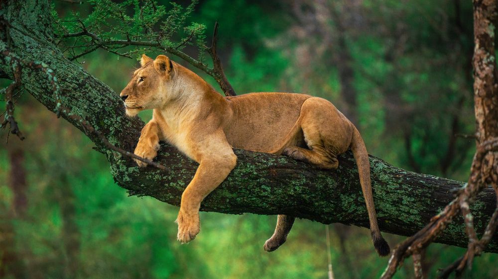 Photograph by Artem Khazov