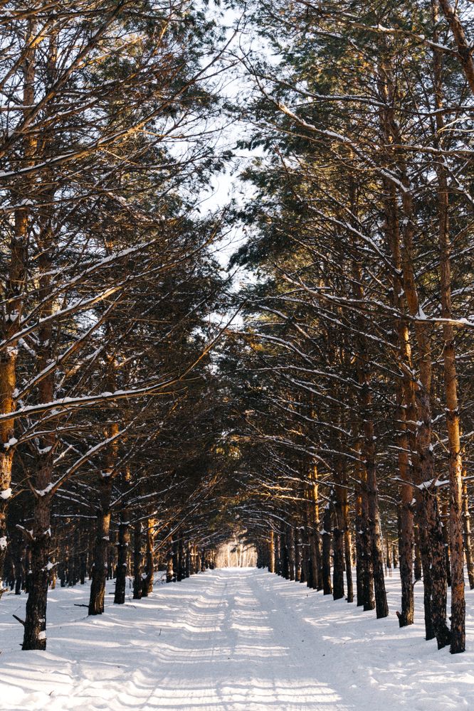 Photograph by Сергей Андрейчук