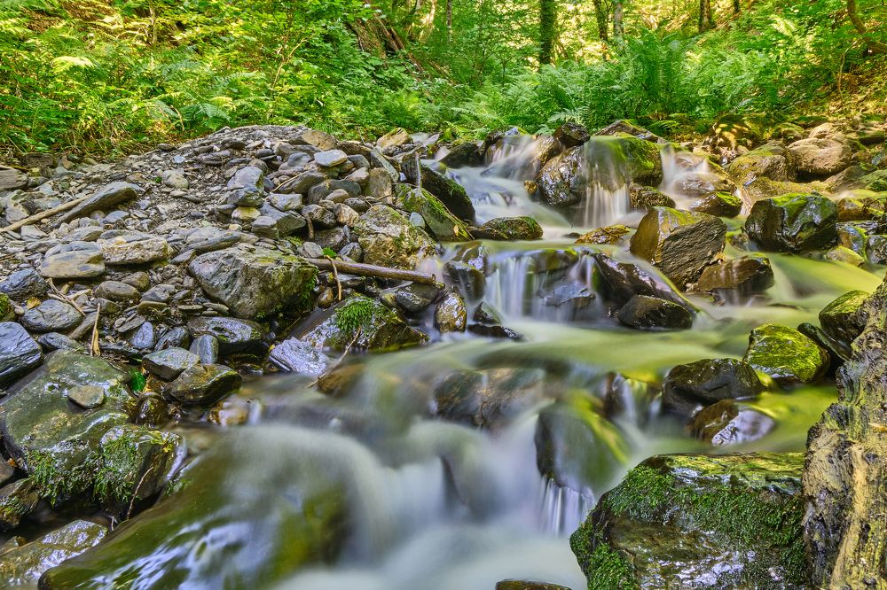 Фотография автора Дмитрий Рудь