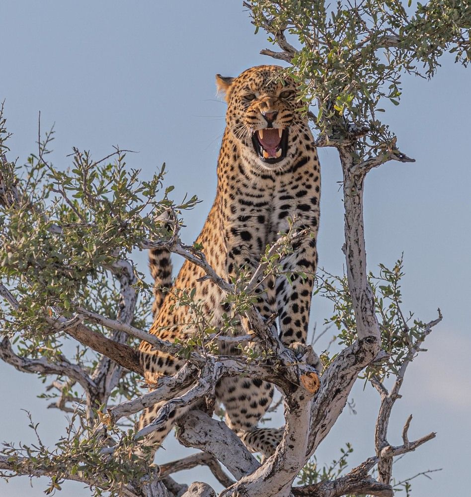 Photograph by Илья Поляк