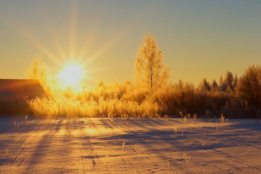 Photograph by Татьяна Шандромайло