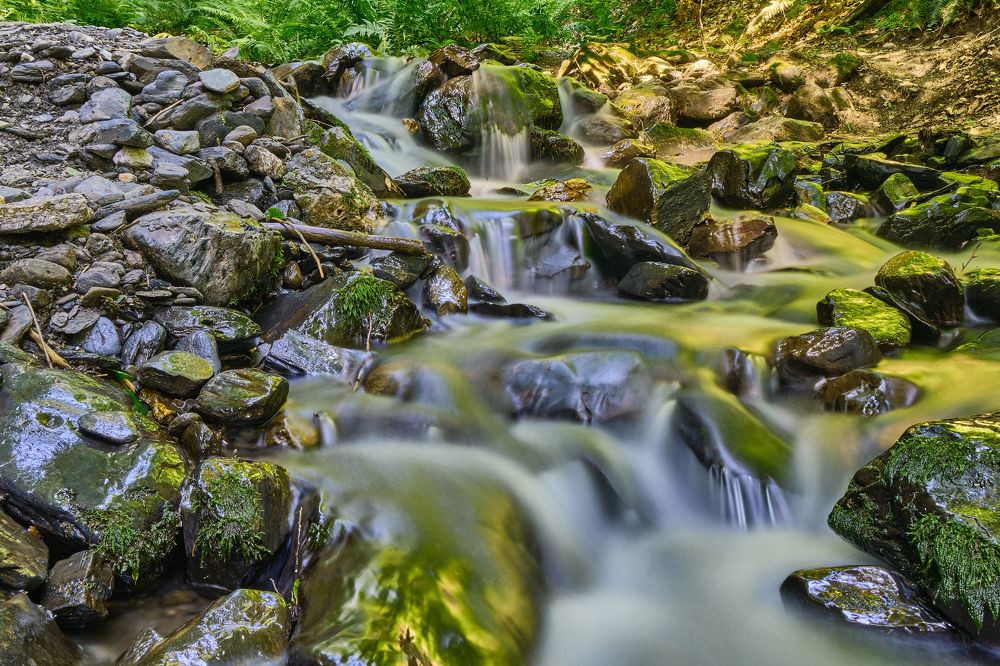 Фотография автора Дмитрий Рудь