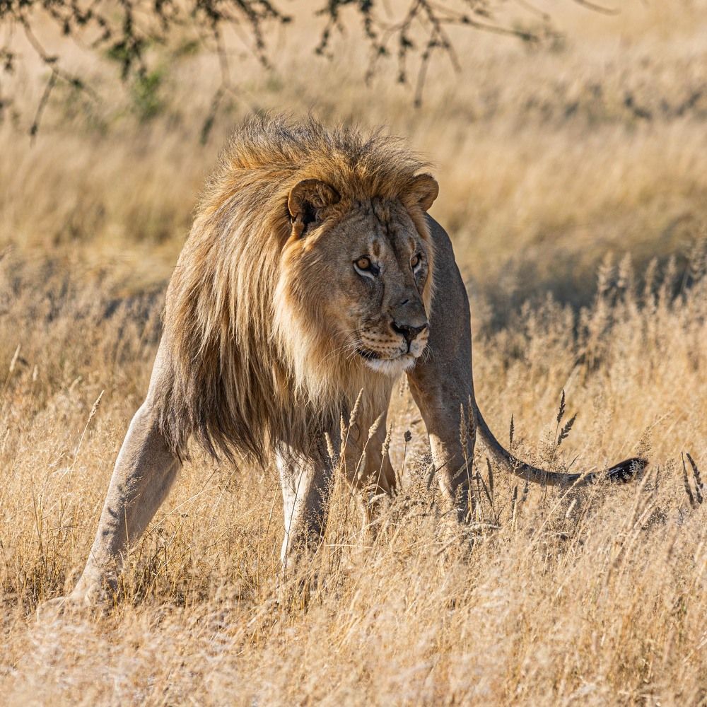 Photograph by Илья Поляк