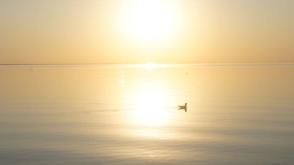 Photograph by Юлия Быкова