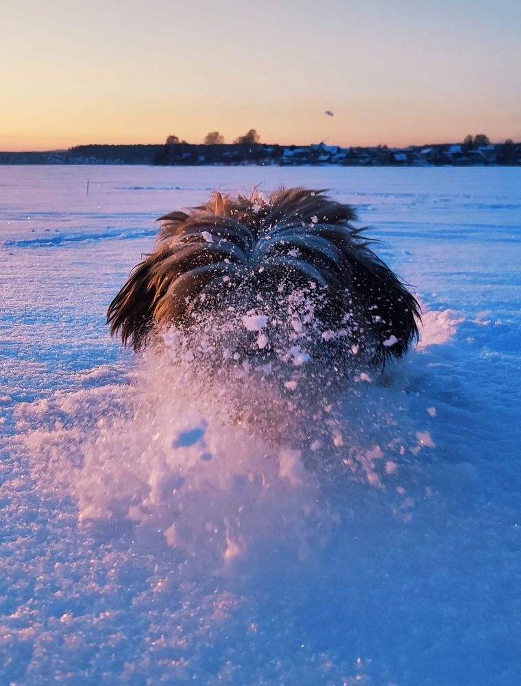 Photograph by Юлия Гинтер