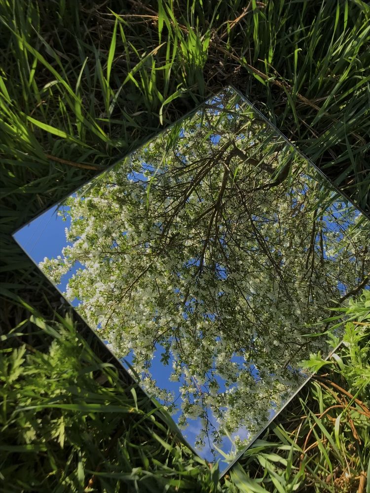 Photograph by Лидия Алесханова