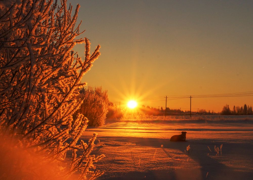 Photograph by Татьяна Шандромайло