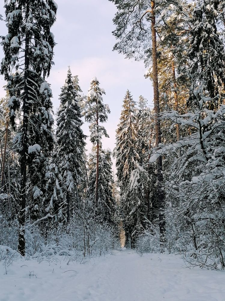 Photograph by Марина Шамова
