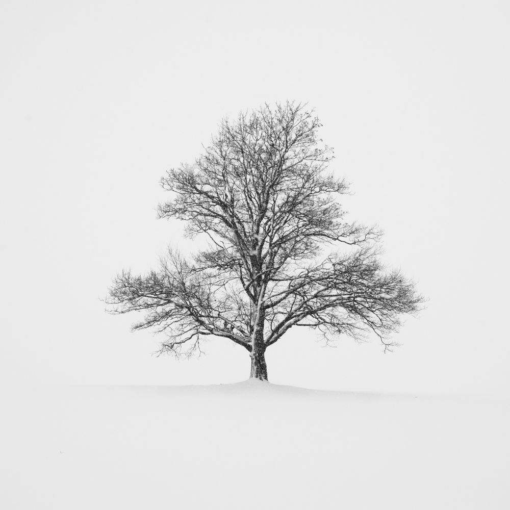 Photograph by Максим Вышарь