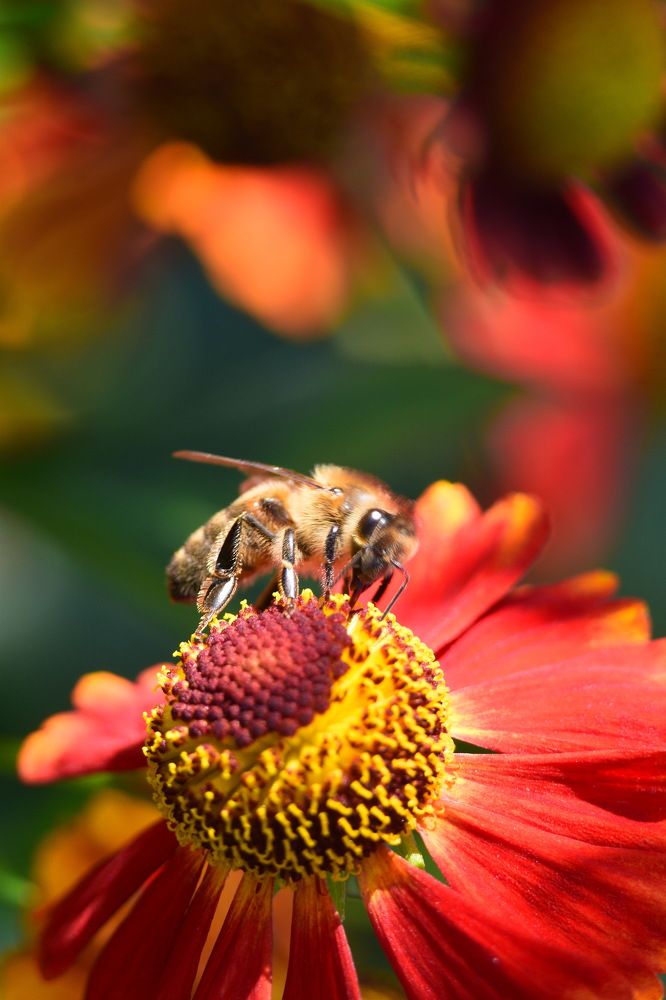 Photograph by Андрей Михайлов