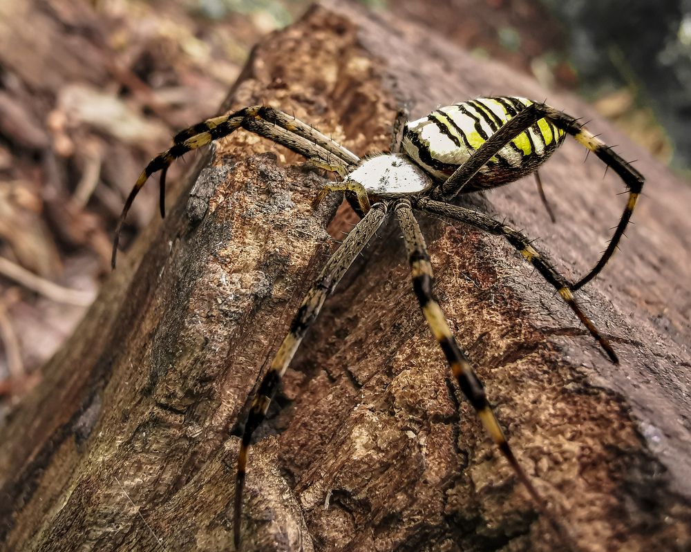 Фотография автора Дмитрий Деревянко