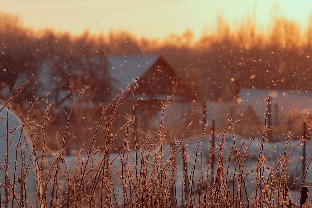 Photograph by Татьяна Шандромайло