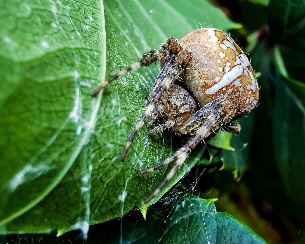 Фотография автора Дмитрий Деревянко