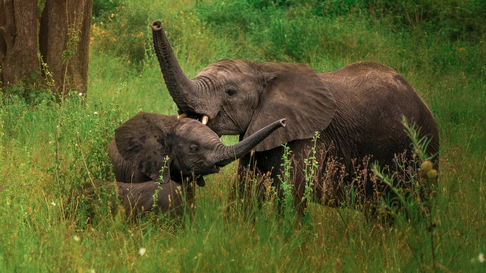 Photograph by Artem Khazov