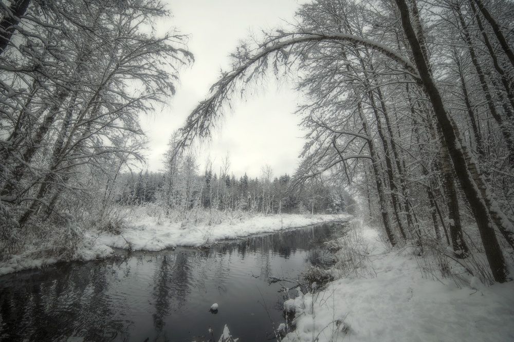 Photograph by 