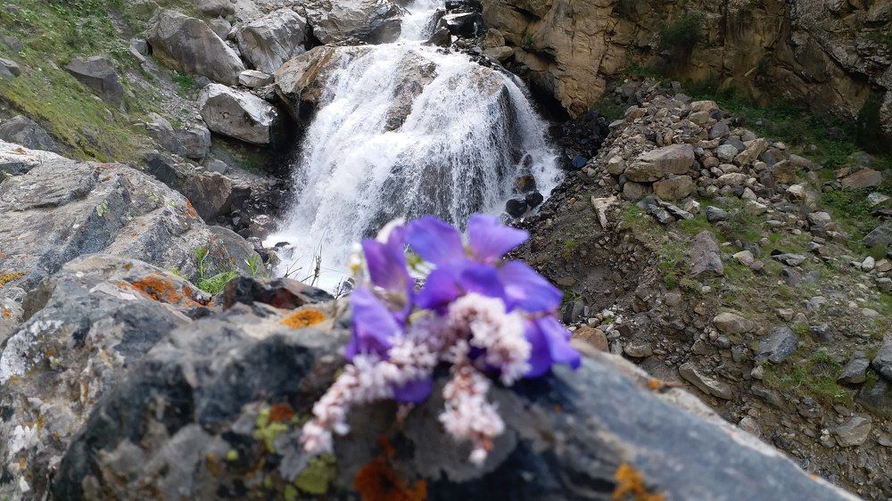 Photograph by Noor Shah