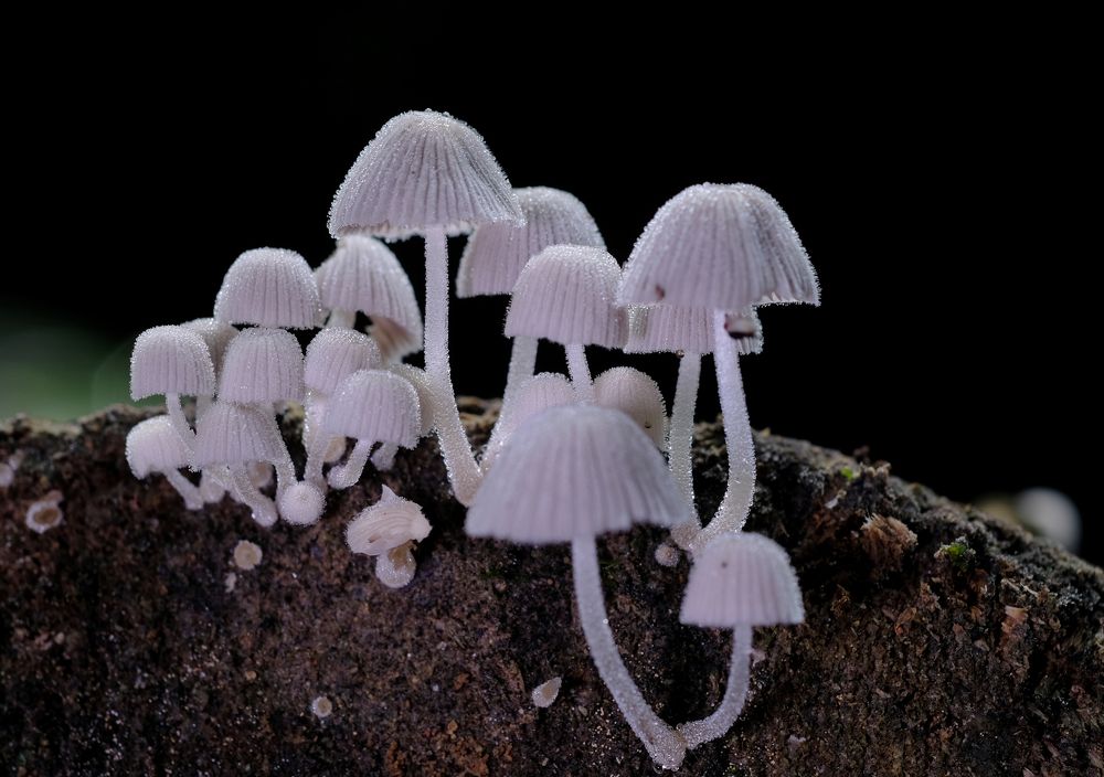 Photograph by Chuah Christopher