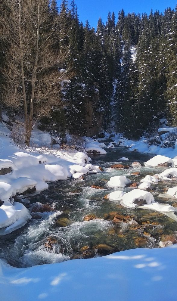 Photograph by Орынбек Асилбаев