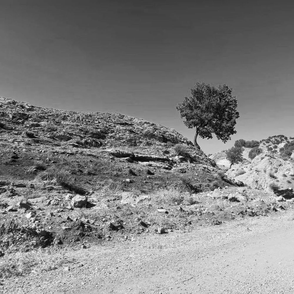Photograph by Asma Rashidi