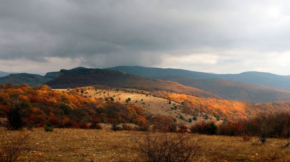 Photograph by Anastasia