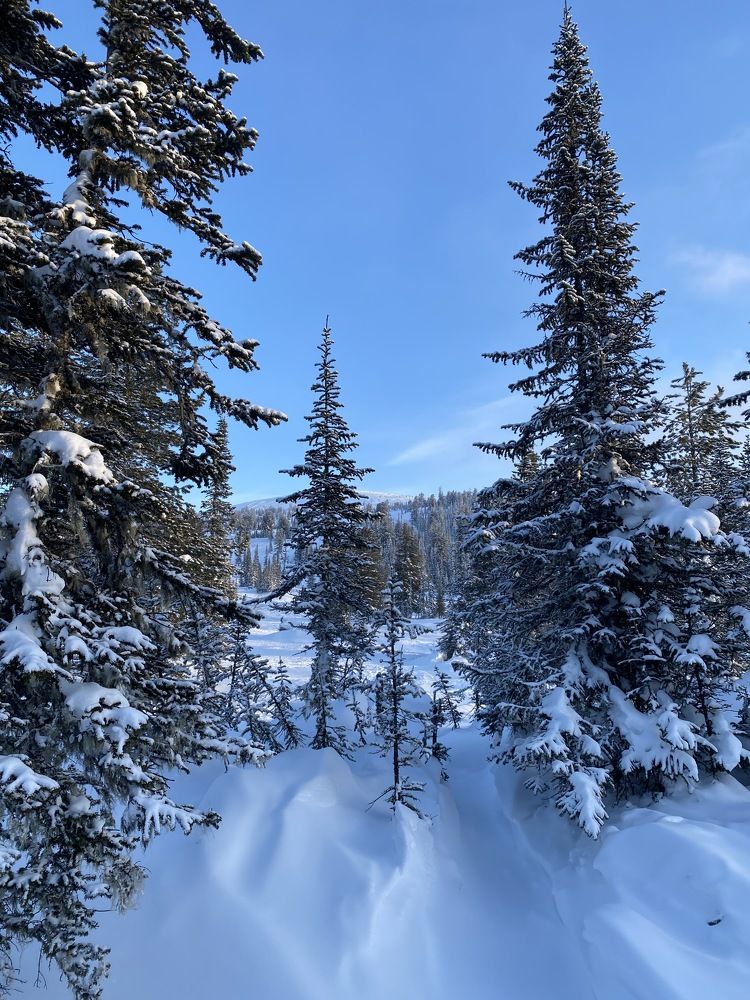 Фотография автора Шутенкова Евгения