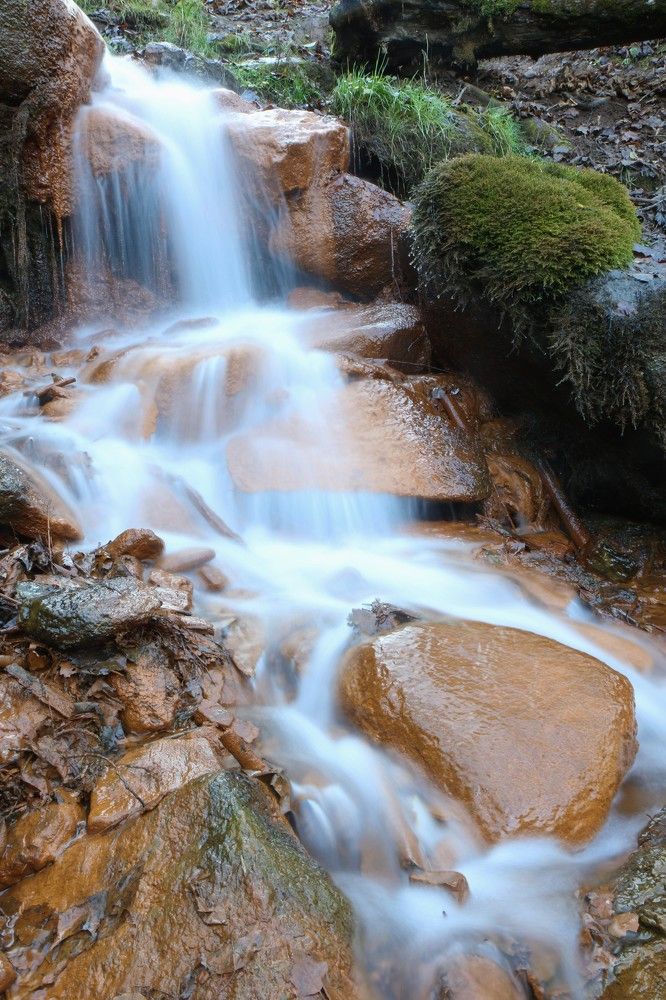 Photograph by Ирина Волкова