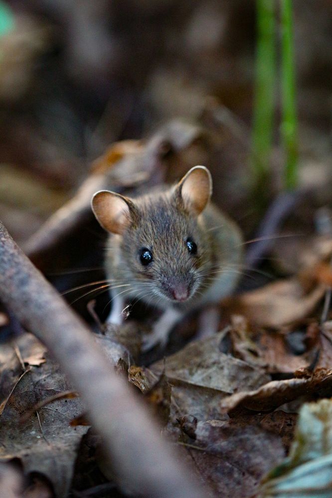 Photograph by Anastasia Biryukova