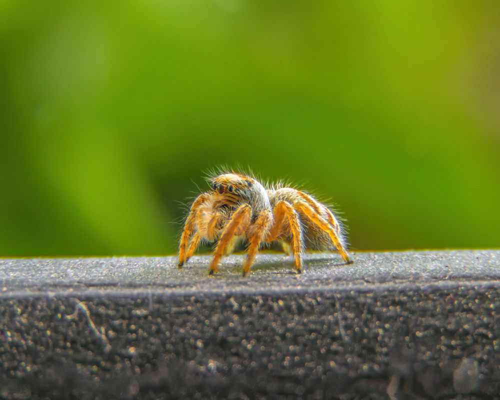 Photograph by Ислам Мирсаитов