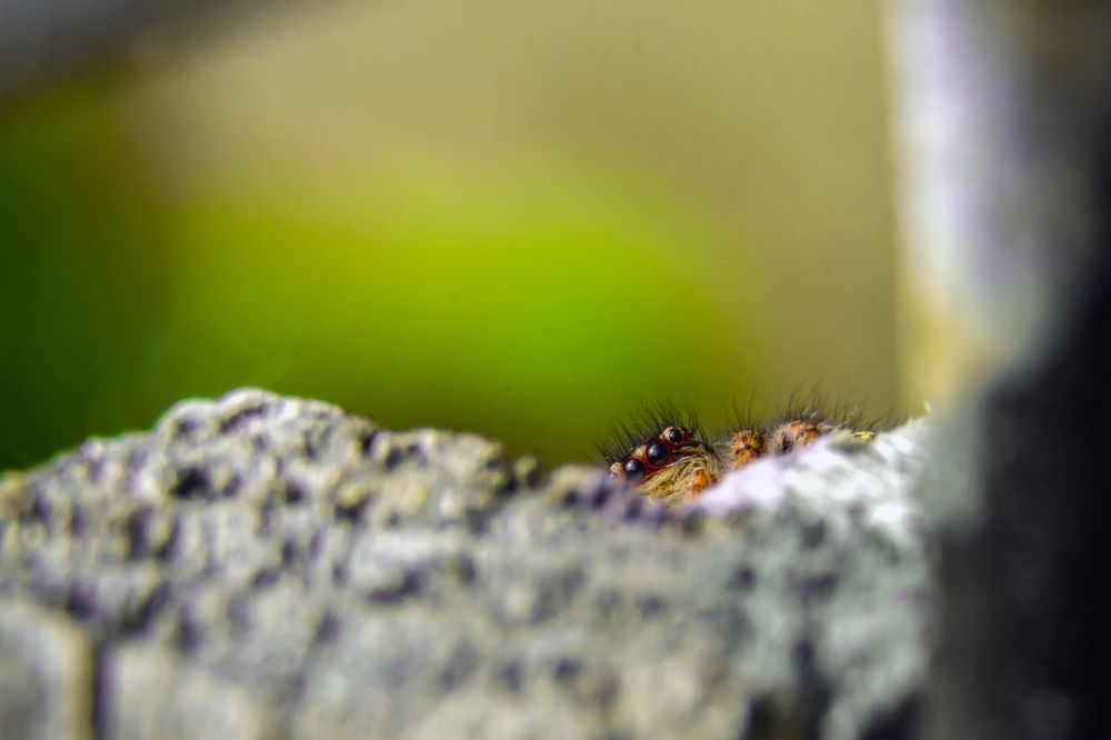 Photograph by Ислам Мирсаитов