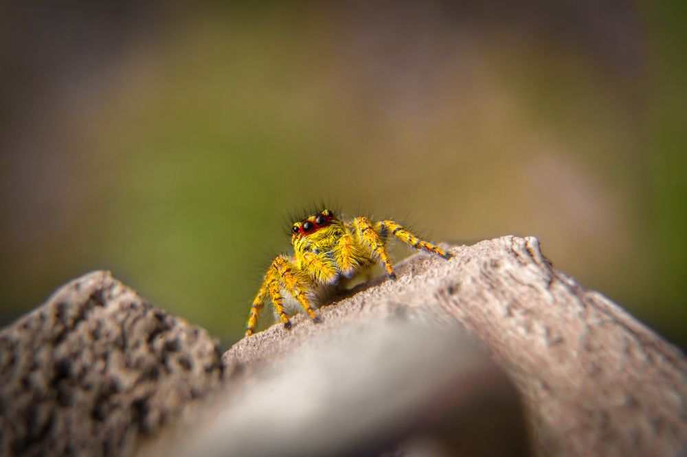 Photograph by Ислам Мирсаитов