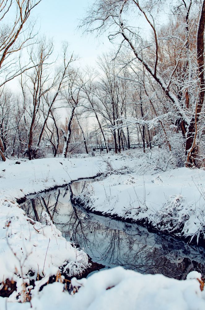 Photograph by Алиса Володченкова