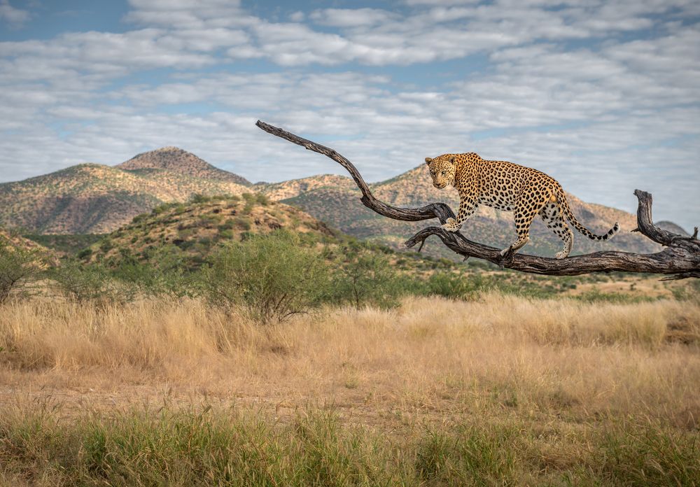 Photograph by Злий Фріз