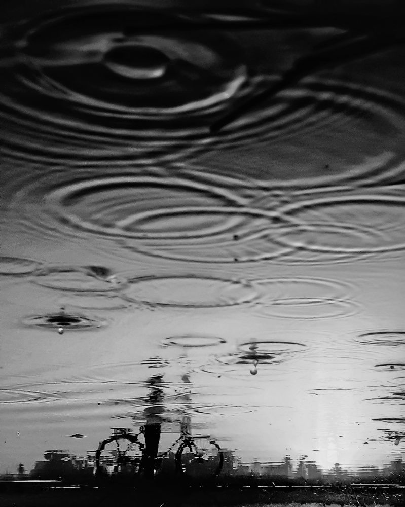 Photograph by Vibhu Singh