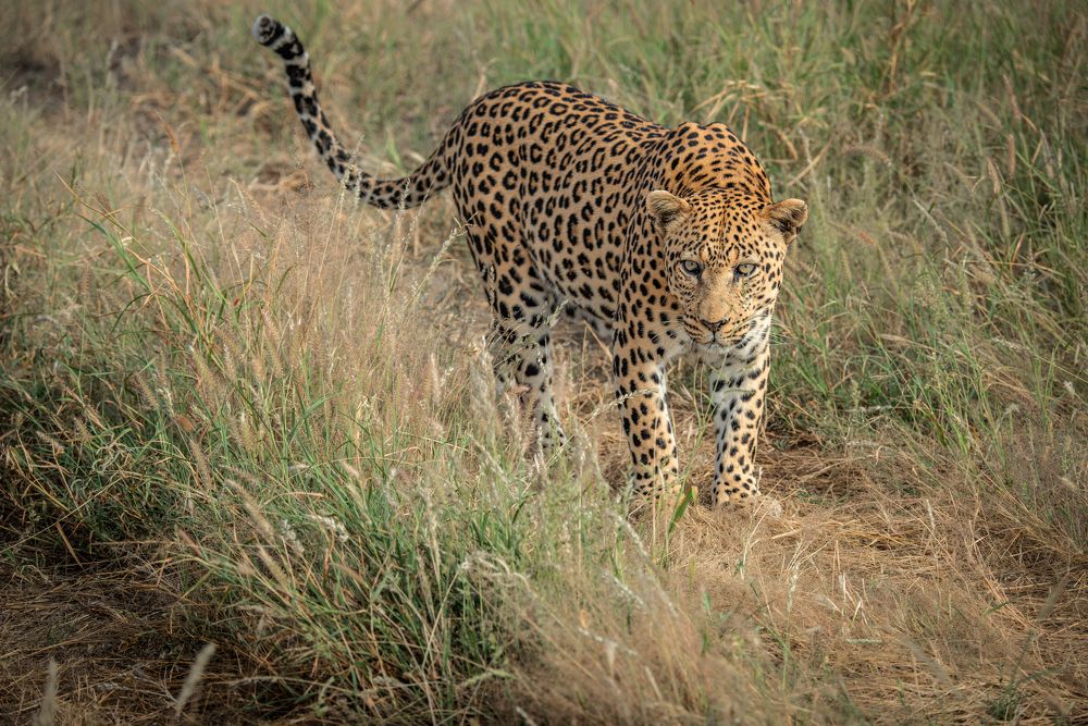 Photograph by Злий Фріз