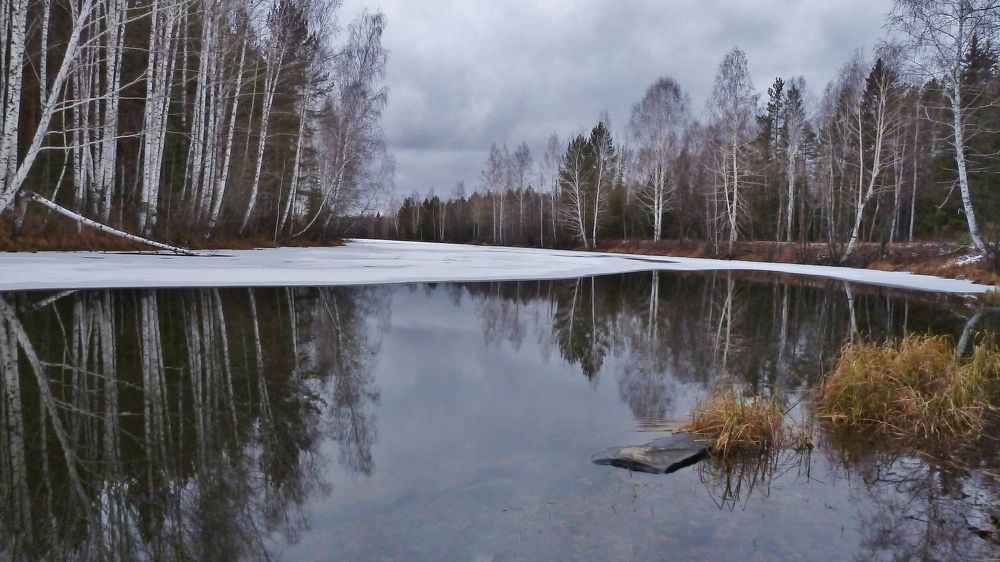 Photograph by Сергей Григорьев