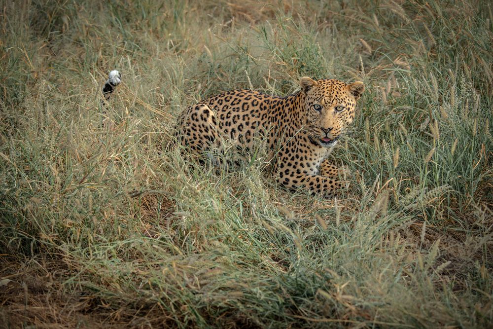 Photograph by Злий Фріз